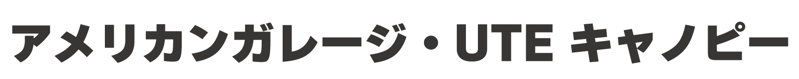 アメリカンガレージ・UTEキャノピー